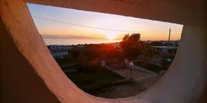 Táj Show holiday homes közelében