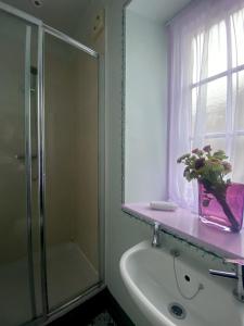a bathroom with a shower and a sink with a vase of flowers at Number Two Russell House Tavistock Devon in Tavistock