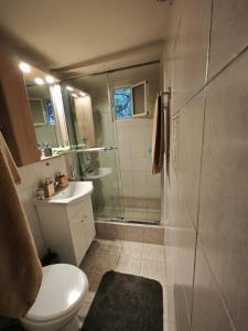 ein Bad mit einer Dusche, einem WC und einem Waschbecken in der Unterkunft Greponis House in Ano Trikala