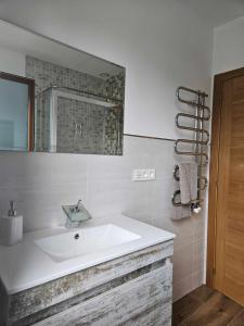 聖地亞哥－德孔波斯特拉的住宿－La Casa del Camino，浴室设有白色水槽和镜子