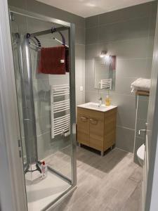 a bathroom with a shower and a sink at Philibert's Appartment - For Two Tournus in Tournus
