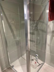 a shower with a glass door in a bathroom at Philibert's Appartment - For Two Tournus in Tournus