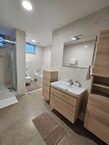 Ένα μπάνιο στο APARTMAN CENTAR BULEVAR EX sa GARAZOM
