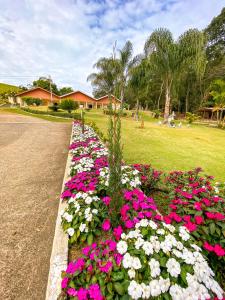 a row of pink and white flowers in a park at Pousada Flores do Campo in Águas de Lindoia
