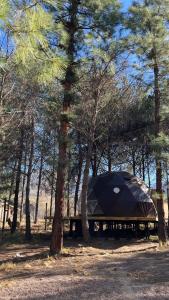 a tent sitting in the middle of some trees at Deer Glamping in Ciudad Lujan de Cuyo