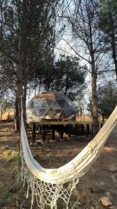 a hammock with a tent on a picnic table at Deer Glamping in Ciudad Lujan de Cuyo