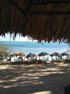 a group of chairs and umbrellas on a beach at Bchome hostal in Boca Chica