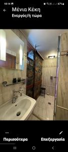 パライオス・アギオス・アタナシオスにあるMontecristo Chaletのバスルーム(洗面台、シャワー付)