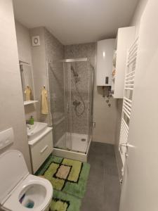 a bathroom with a shower and a toilet and a sink at Studio apartman Bjelašnica SAMBA in Bjelašnica