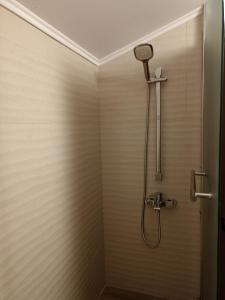 パンポロボにあるSnow Mountain Grand Monasteryの浴室のシャワーヘッド付きシャワー