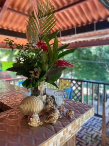 a table with a vase with a plant and shells at Ocekepala in Palmilla