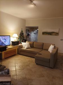 Montenero Val CocchiaraにあるLa casa di Pietraのリビングルーム(ソファ、クリスマスツリー付)