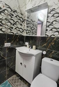 bagno con servizi igienici, lavandino e specchio di Apartament Epic H a Gura Humorului