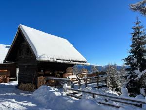 a log cabin with snow on the roof at Almhütte Kärnten in Maltaberg
