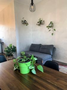un soggiorno con tavolo e piante di Il Nido apartment Roma, Attico ostiense a Roma