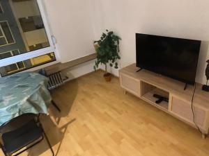 sala de estar con TV de pantalla plana en un soporte en WORKATION I Bali Taunus I 6 Personen viel PlatzI Waschmaschine I Trockner I Balkon en Kelkheim