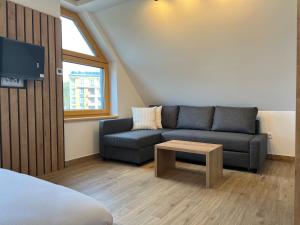 a living room with a couch and a tv at Zlatni Odmor (Centar) in Zlatibor