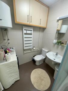 a small bathroom with a toilet and a sink at MANHATTAN APARTMAN Belvil in Belgrade
