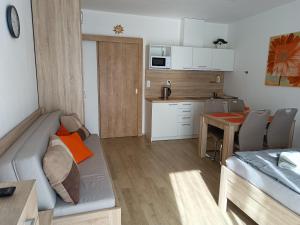 Kuchyň nebo kuchyňský kout v ubytování Apartmán U Sjezdovky