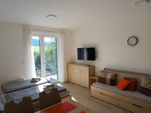TV a/nebo společenská místnost v ubytování Apartmán U Sjezdovky