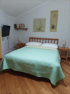 Montenero Val CocchiaraにあるLa casa di Pietraのベッドルーム1室(緑色のベッドカバー付)