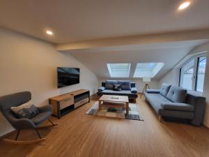 a living room with a couch and chairs and a tv at Appartements MAYR inklusive ganzjährig GRATIS Zugang zur ALPENTHERME und im SOMMER kostenlose Bergbahnnutzung in Bad Hofgastein