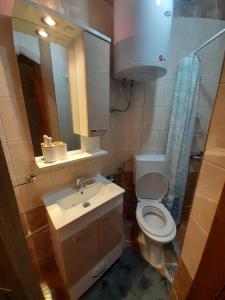 La salle de bains est pourvue de toilettes, d'un lavabo et d'un miroir. dans l'établissement Apartments Sonja, à Ohrid