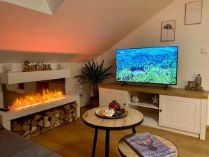 uma sala de estar com televisão e lareira em Schwarzwaldliebe Ferienwohnung mit eigenem Garten em Gaggenau