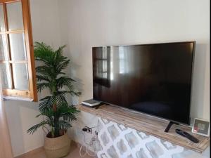 TV de pantalla plana grande en una pared con una planta en Casa en Castelldefels a 5 min de la playa, en Castelldefels