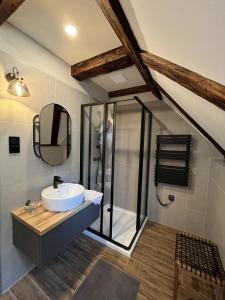 a bathroom with a sink and a shower at Mushrooms Malomszállás in Tata