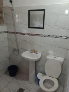 比亚莱特马西Cabañas Wasirumi的带马桶和水槽的浴室