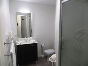 ein Bad mit einem WC, einem Waschbecken und einer Dusche in der Unterkunft Pratique, Complet Sûr, Métro et Parking; Proche du Centre, de la Gare, de la Rocade, d'un supermarché. Tout à Pied. in Toulouse