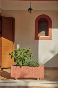 Fotografie z fotogalerie ubytování Jessica Luxury Villa v destinaci Agios Nikolaos
