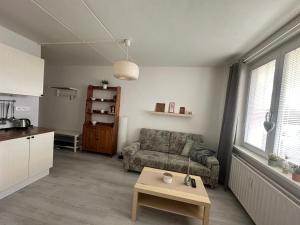 sala de estar con sofá y mesa en Apartmán Kovářská u Klínovce en Kovářská