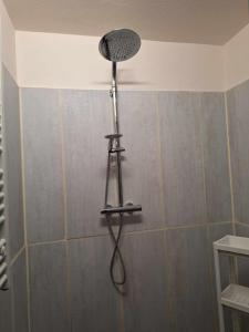 eine Dusche mit Duschkopf im Bad in der Unterkunft Haus Rosi in Lutzerath