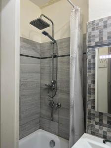 a bathroom with a shower and a bath tub at Apartment Bratislava center in Bratislava