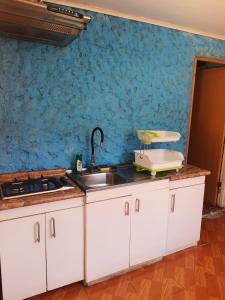 Kuchyň nebo kuchyňský kout v ubytování Residencial mi Casa