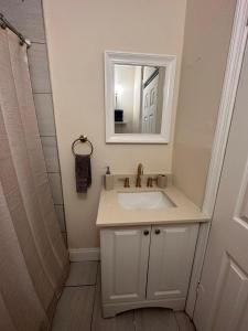 uma casa de banho com um lavatório e um espelho em BU2 · Beatiful unit near Adv Island/ BuschGardens em Tampa