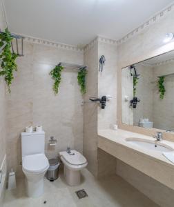 een badkamer met een toilet, een wastafel en een spiegel bij Jardins da Ajuda Apartment in Funchal