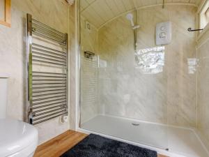 een badkamer met een douche, een toilet en een wastafel bij Ewe Retreat Shepherds Hut in Hereford