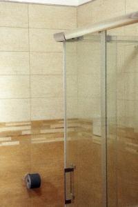 uma cabina de duche em vidro na casa de banho com um rolo de papel higiénico em LadimoradiLu' em Piano