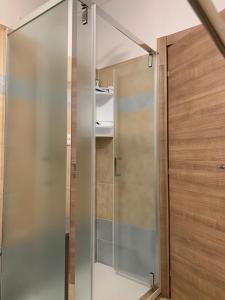 W łazience znajduje się prysznic ze szklanymi drzwiami. w obiekcie alFiume B w mieście Tirano