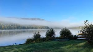 a view of a lake with fog on the water at Micro chalet Le Boisé ! in Saint Zenon