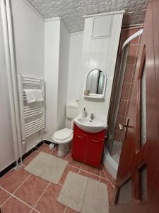 A bathroom at Garsoniera TOMMY - STRAJA