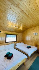 two beds in a room with wooden walls at View Piatra Craiului in Zărneşti