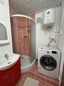 a bathroom with a washing machine and a sink at Garsoniera TOMMY - STRAJA in Lupeni