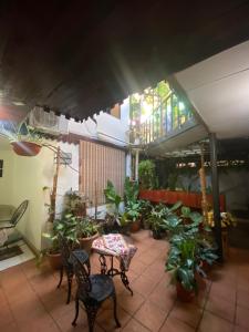un patio con sillas y macetas y una vidriera. en Mini Apartamentos Amueblados y Equipados Paulina, en San Isidro
