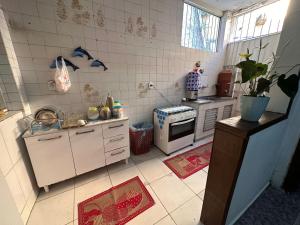 uma pequena cozinha com um fogão e um lavatório em A CASA DE IRENE I em Aparecida