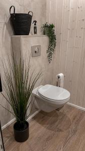La salle de bains est pourvue de toilettes et d'une plante en pot. dans l'établissement Rest h0me, 