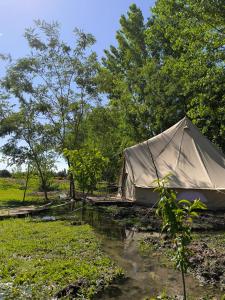 a tent in a field next to a river at Vivac Camp in San Rafael